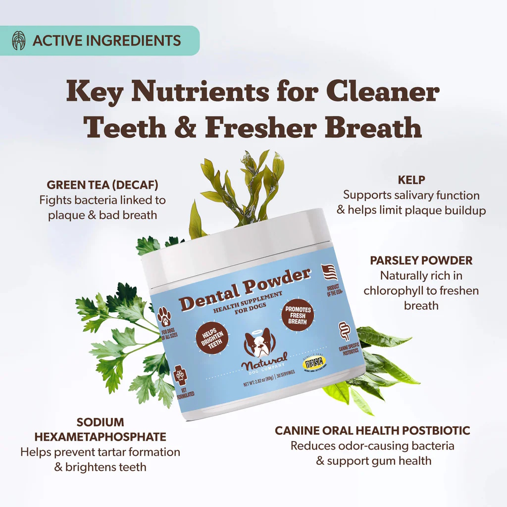 Image of Natural Dog Company Dental Powder container showing ingredients, feeding directions and oral health product information