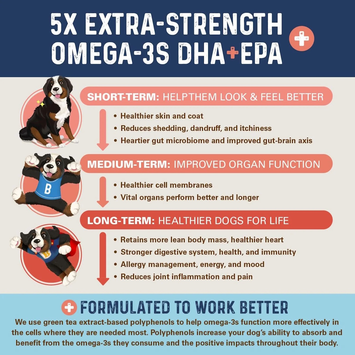 Back of Bernie's OMG! Omegas 5X Omega-3 Dog Supplement bottle showing supplement facts, ingredients and feeding directions